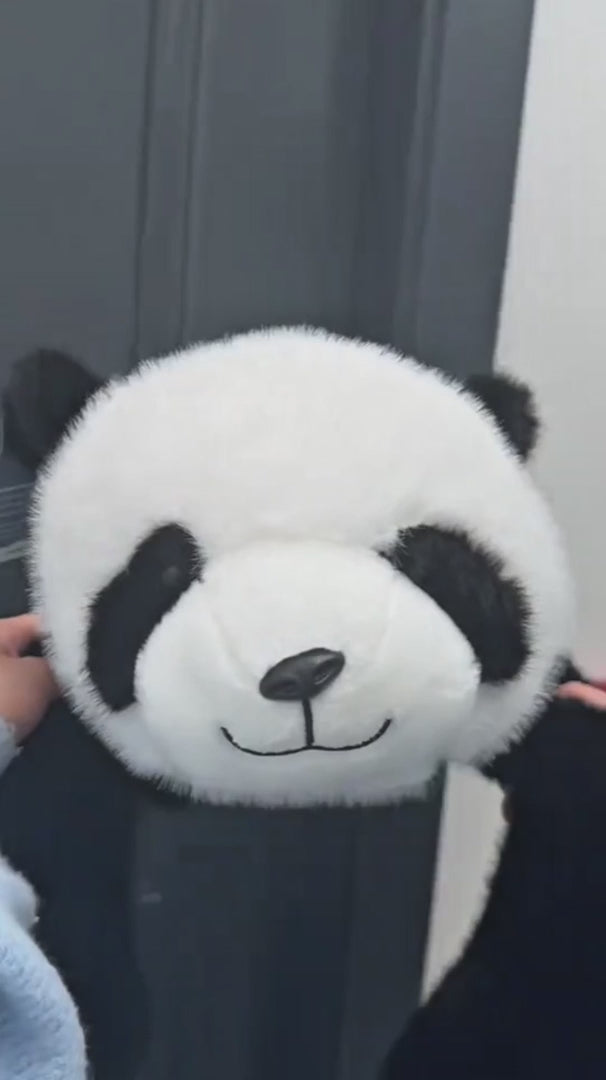 Vidéo